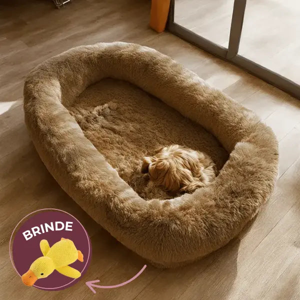 Sonetto - Cama Grande Para Pets Macia Antiderrapante + BRINDE